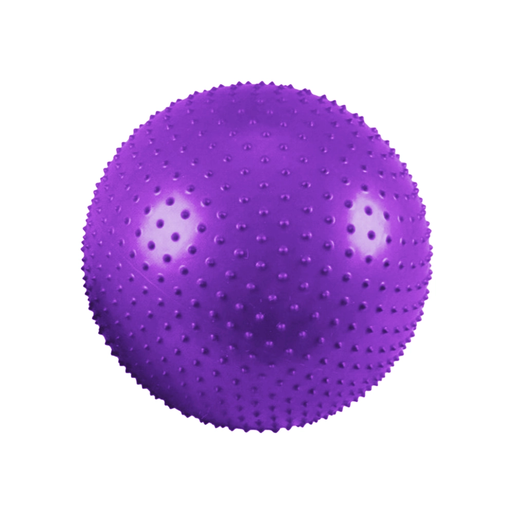 Yoga Exercise Fitness Ball 65cm Anti Burst Big Inflatable Ball With Tactile Spikes- Purple