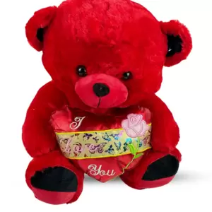 Buy Cute Teddy Bear Online at Cheaper Prices in UAE Day to Day