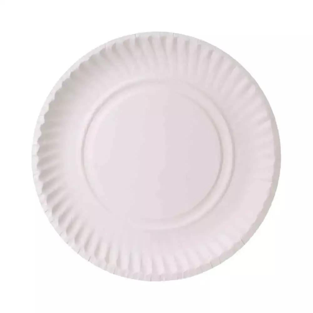 Paper shop disposable plates