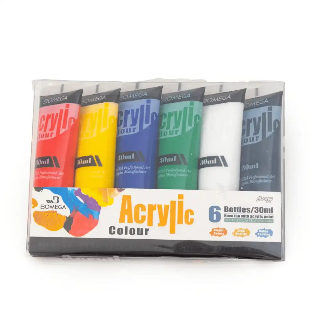 Bomega Non Toxic Acrylic Painting Colors Set With Assorted Color- 6pcs