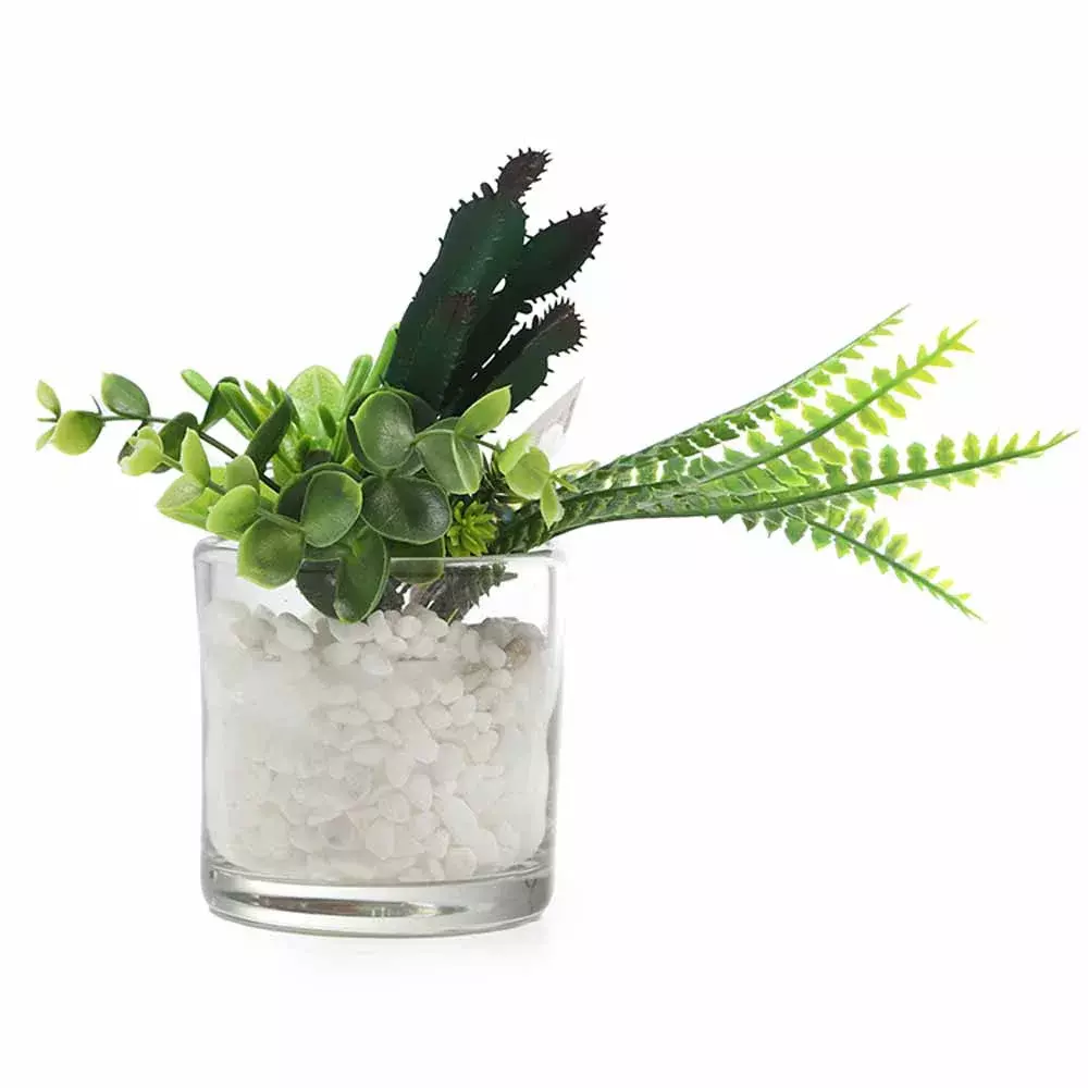 Plant in online glass vase