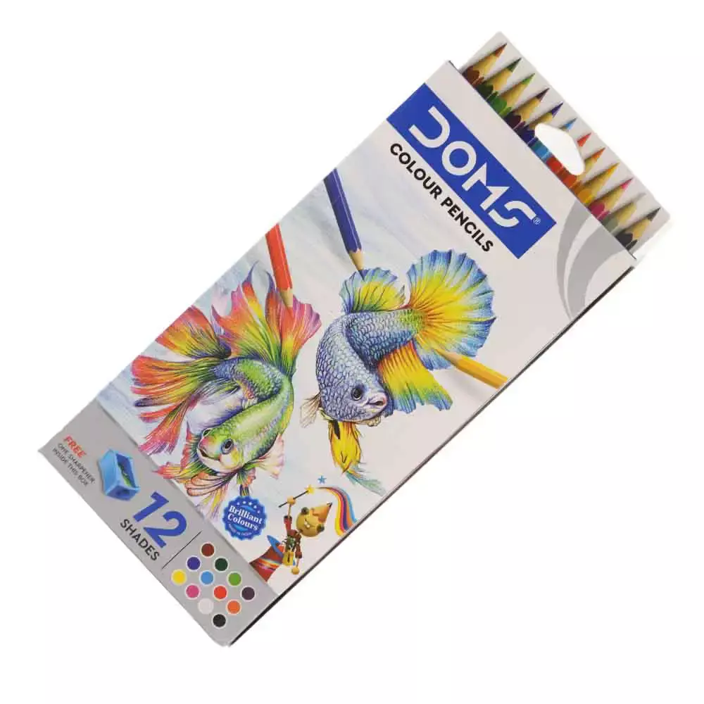 DOMS Coloured Pencils, 2 B, Pack of 28 : Amazon.in: Home & Kitchen