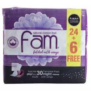 Fam Maxi Thick Folded w/ Wings Night Sanitary Pads 24 Pads