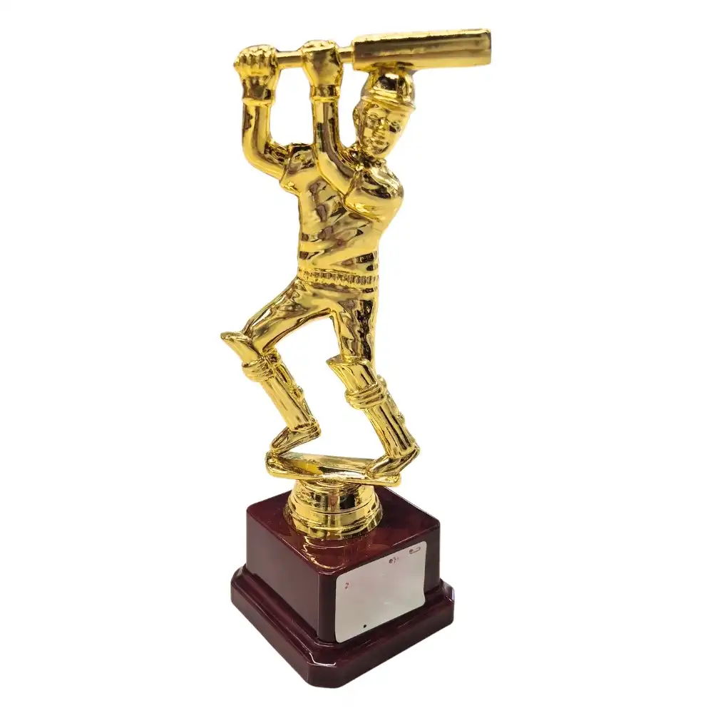 Cricket Sport Tournament Awards Trophy Golden Plated- 6X18cm