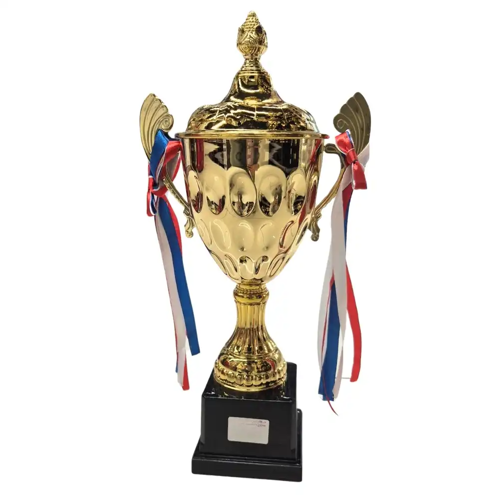 Trophy Cup With Lid And Ribbon On Handle Golden Plated for Competition Winner Kids- 10X38cm