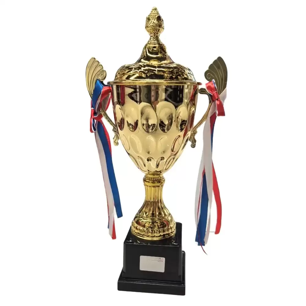 Trophy Cup With Lid And Ribbon On Handle Golden Plated for Competition Winner Kids- 10X38cm